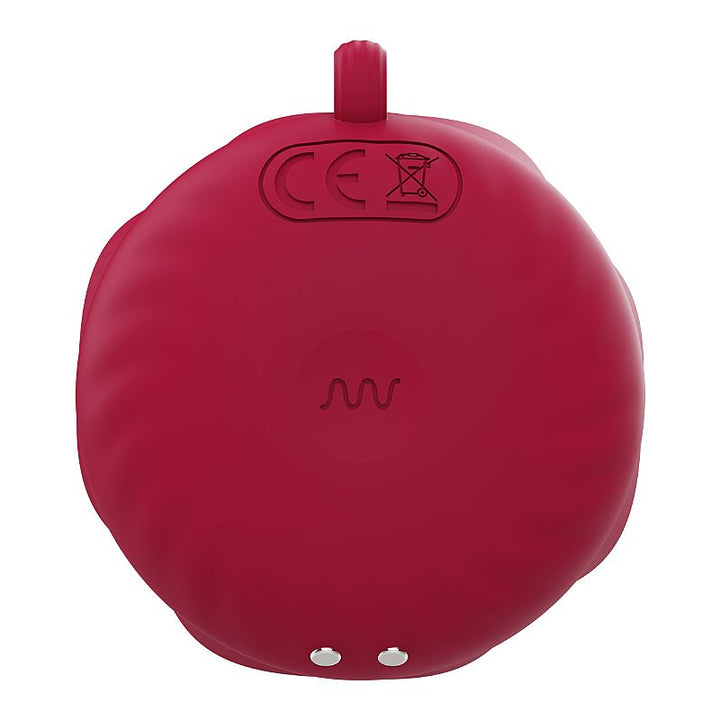 Colar vibrador de clitóris formato de rosa Mirabelle da ALWUP – estimulador discreto com design floral, toque suave e vibração potente para prazer em qualquer lugar

Palavra-chave principal:
colar vibrador

Palavras-chave relacionadas:
vibrador de clitóris, formato de rosa, rosa Mirabelle, vibrador discreto, sex toy portátil, estimulador feminino, ALWUP, prazer silencioso