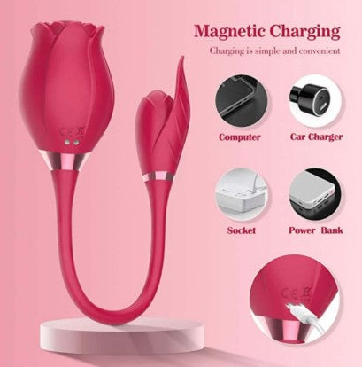 Vibrador com sugador em formato de rosa Flower com dupla estimulação – Estimulador de clitóris e ponto G

Palavra-chave principal:
vibrador com sugador

Palavras-chave relacionadas:
vibrador rosa flower, estimulador de clitóris, dupla estimulação, vibrador em formato de flor, sugador de clitóris recarregável, vibrador feminino, sex toy romântico